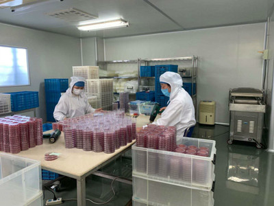 送政策、送口罩、幫復工 政府幫助虹口這家企業3天研制出病毒采樣管