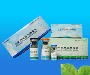 注射用鹽酸克林霉素全面解析 從功效、代理到市場準(zhǔn)入信息